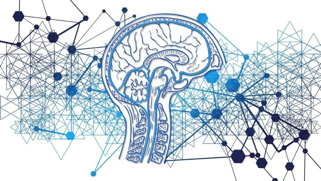 brain, network, web, networking, internet, computer science, digital, data, mind, control, technology, brain, brain, brain, mind, mind, mind, mind, mind