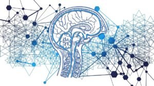 brain, network, web, networking, internet, computer science, digital, data, mind, control, technology, brain, brain, brain, mind, mind, mind, mind, mind